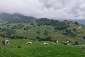 Hanoi: 3-dages Sapa-eventyr – Lao Chai, Cat Cat og Fansipan-bjergtoppen