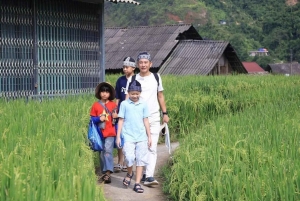 Hanói: aventura de 3 dias em Sapa – Lao Chai, Cat Cat e Pico Fansipan