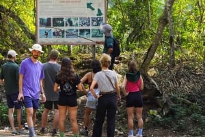 Ханой: 3-дневный тур к водопаду Бан Джок и озеру Бабе