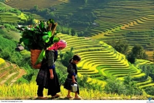 Hanoi: 3 dager Sapa – Trekking Cat Cat, Lao Chai, Glass Bridges