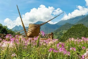 Hanoi: 3 dager Sapa – Trekking Cat Cat, Lao Chai, Glass Bridges