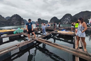Hanói: 3 dias: Baía de Lan Ha: cruzeiros clássicos e viagem a Ninh Binh