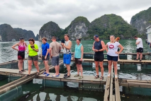 Hanói: 3 dias: Baía de Lan Ha: cruzeiros clássicos e viagem a Ninh Binh