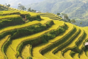 Hanoi: 4-Day Ha Giang Loop – UNESCO Tour with Meals and Stay