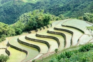 Hanoi: 4-Day Ha Giang Loop – UNESCO Tour with Meals and Stay
