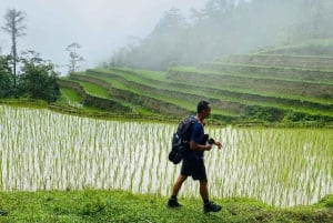 Hanoi: 4-Day Ha Giang Loop – UNESCO Tour with Meals and Stay