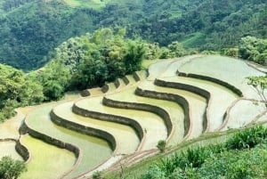 Hanoi: 4-Day Ha Giang Loop – UNESCO Tour with Meals and Stay