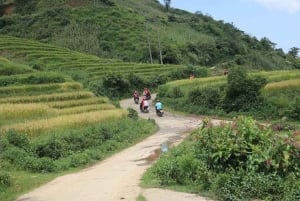 Hanoi: 4-Day Ha Giang Loop – UNESCO Tour with Meals and Stay