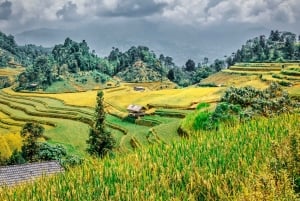 Hanoi: 4-Day Ha Giang Loop – UNESCO Tour with Meals and Stay
