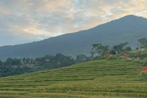 Hanoi: 5-tägige private Tour zum Nationalpark Ba Vi & Ta Xua