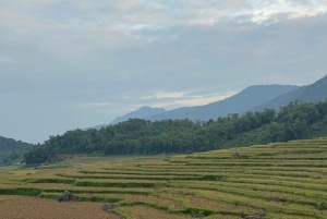 Hanoi: 5-tägige private Tour zum Nationalpark Ba Vi & Ta Xua