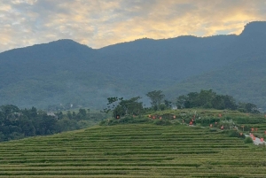 Hanoi: 5-tägige private Tour zum Nationalpark Ba Vi & Ta Xua