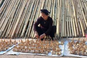 Hanoi: Eftermiddagsudflugt med landskab og aftenshow