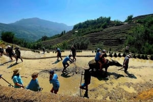 Hanoi Airport: Transfer to/from Sapa by VIP Sleeper Bus