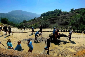 Hanoi Airport: Transfer to or from Sapa by a VIP Sleeper Bus