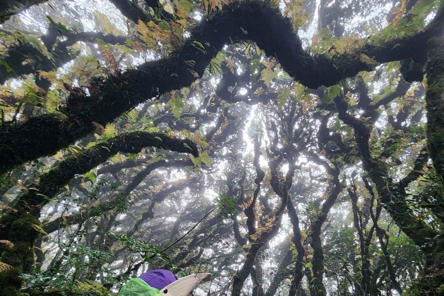 Hanoi: Ba Be nationalpark 3-dagars kajak- och cykeltur