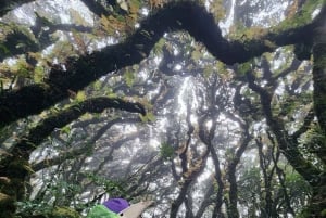 Hanoi: Ba Be nationalpark 3-dagars kajak- och cykeltur