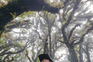 Hanoi: Ba Be nationalpark 3-dagars kajak- och cykeltur