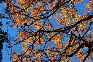 Hanoi: Ba Be nationalpark 3-dagars kajak- och cykeltur