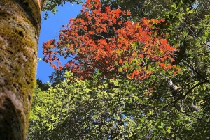 Hanoi: Ba Be nationalpark 3-dagars kajak- och cykeltur