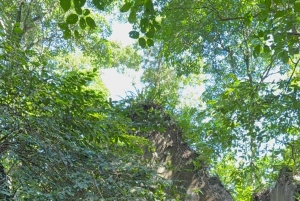 Hanói: excursão privada ao Parque Nacional de Ba Vì e à Aldeia Étnica