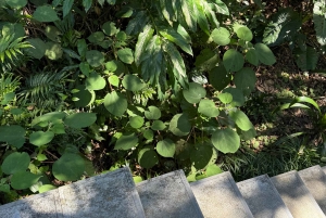 Hanoi: tour privato di 2 giorni al picco Ba Vì e alla valle Mai Châu