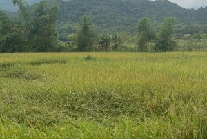 Hanoi: tour privato di 2 giorni al picco Ba Vì e alla valle Mai Châu