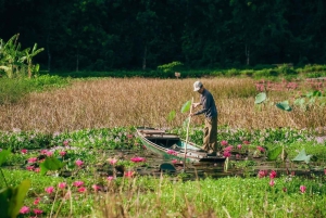 Pagoda Bái Đính w Hanoi, pagoda Nhat Tru lub Tràng An, jaskinia Mua