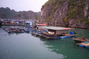 Hanoï/Cat Ba : croisière de 2 jours dans la baie de Lan Ha avec excursion pour observer le plancton