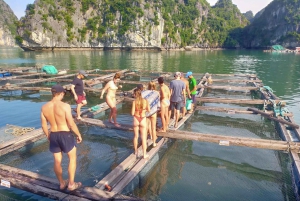 Hanoï/Cat Ba : croisière de 2 jours dans la baie de Lan Ha avec excursion pour observer le plancton