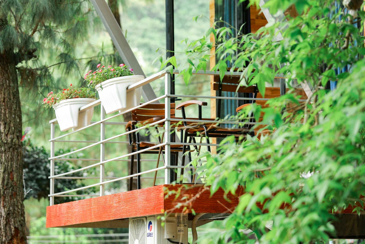 Hanói: tour de 2 días a la isla de Cat Ba con bici, crucero y kayak