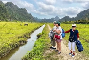 Hanoi: Cat Ba Island & Lan Ha Bay Day Trip Cruise with Lunch