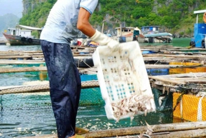 Hanoi/Cat Ba: Lan Ha Bay-dagcruise met donkere en heldere grotten