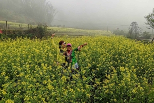 Hanoi: Cat Cat Village, Fansipan, & Moana Sapa 3-dagars rundtur