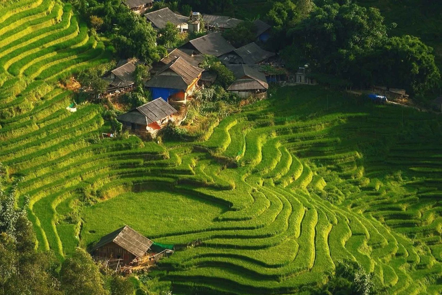 Hanoi: escursione al villaggio di Cat Cat a Sapa, tour in funivia a Fansipan