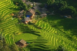 Hanoi: Sapa Cat Cat Village-vandring, Fansipan-linbanetur