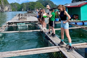 Hanoi/Catba: 2-Day Adventure Cat Ba National Park,Lan Ha Bay