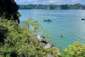 Hanoi/Catba: 2-Day Adventure Cat Ba National Park,Lan Ha Bay