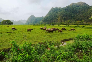 Hanoi/Catba: 2-Day Adventure Cat Ba National Park,Lan Ha Bay