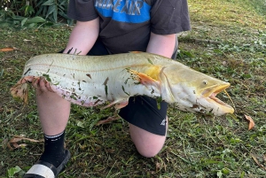 Ханой: опыт приманивания сомов с трансфером туда и обратно