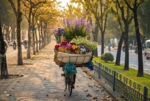 Hanoi City Half Day - Ontdek met een speciaal programma