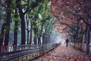 Hanoi City halvdag - Staden innehåller kulturell skönhet