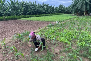 Hanoi: City Highlights Guided Tour by Vintage Jeep