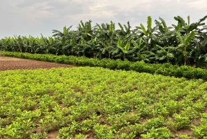 Hanoi: City Highlights Guided Tour by Vintage Jeep