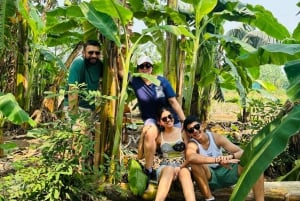 Hanoi byrundvisning og landskab 4,5 timer