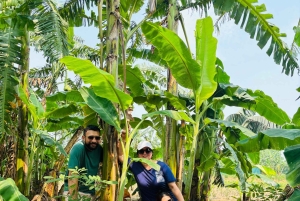 Hanoi City Tour and Countryside 4,5 Hours