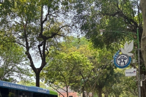 Hanoi City Tour and Countryside 4,5 Hours