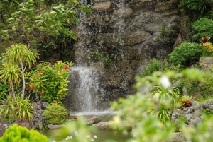 Hanoi: Pagoda Co Le lub największa na świecie pagoda Tam Chuc