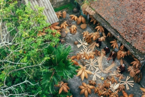 Hanoi Co Loa Citadel or Fish Trap, Soy Sauce_Incense Village