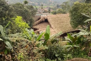 Hanoi: lekcja gotowania, stara wioska Duong Lam, rejs po jeziorze Thac Ba